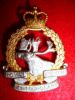 Q93 - Royal Newfoundland Regiment Officer's Cap Badge